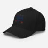 closed-back-structured-cap-black-left-front-6a25619727204.jpg USA250 Structured Twill Cap Embroidered
