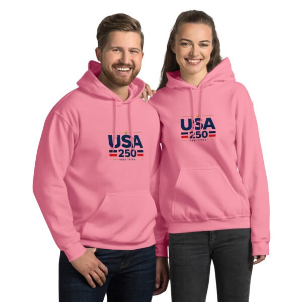 USA250 Unisex Hoodie DTG Print
