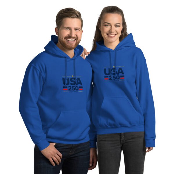 USA250 Unisex Hoodie DTG Print